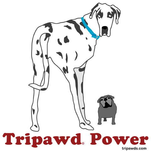 Moose and Maggie Tripawd Power Three Legged Dog Design