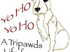 Yo Ho Ho for New Captain Jack Design Captain Jack Three Legged Pirate Dog Design