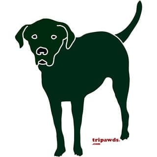 three legged black lab t-shirts and gifts