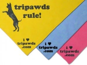 Tripawds Pet Bandanas