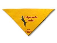 Name Your Price for a Tripawds Bandanna!