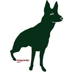 Three Legged German Shepherd T-Shirt Design