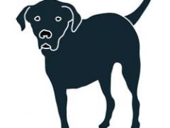 New Designs for Three Legged Lab Lovers Three Legged Front Leg Back Lab Tripawd Dog T-Shirt Design