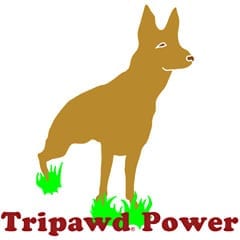 Three Legged German Shepherd Tripawd Power T-Shirt Design