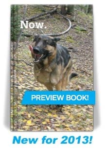 2013 Tripawds Now Planner