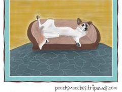 Personalize Abby Artwork With A Catchy Caption Personalize Your Own Tripawds T-shirts and Gifts