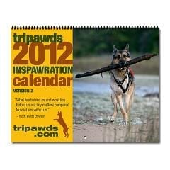 2012 Tripawds Inspirational Three Legged Dogs Calendar 1