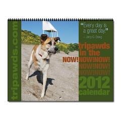 2012 Tripawds In The Now Three Legged Dogs Calendar