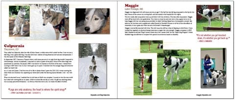 Tripawd Heroes Book Sample