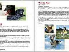 Save $10 Off All Tripawds Books! Preview Tripawd Heroes Pages and See All Options