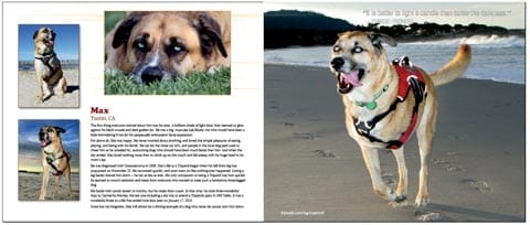 Tripawd Heroes Book Sample