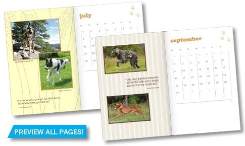 2012 Tripawds Weekly Planner Book