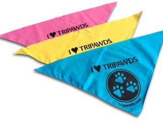 Tripawds Dog Bandanas