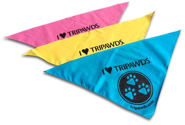 Tripawds Dog Bandanas