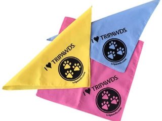 tripawds bandannas small