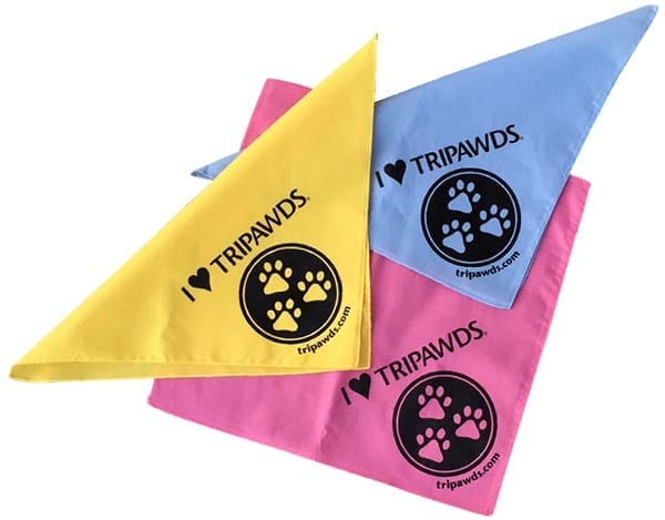 tripawds bandanas small