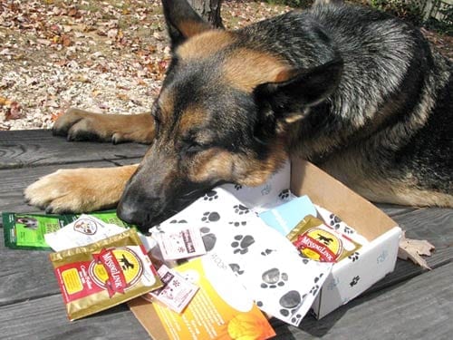 PawBox Gift Box for Dogs