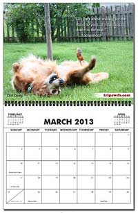 Tripawds Wall Calendar Page Chilli