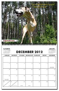 2013 Tripawds Calendar Page Nova