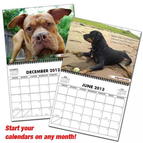 2013 Tripawds Inspirational Three Legged Dog Calendars