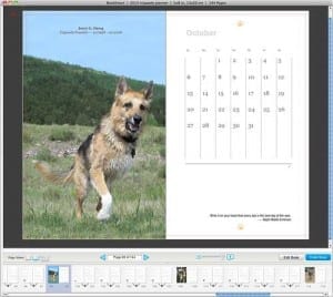 Save On Tripawds Now Planner!