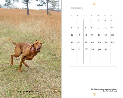 2013 Tripawds Now Weekly Planner