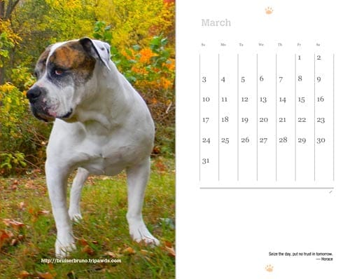 2013 Tripawds Now Weekly Planner