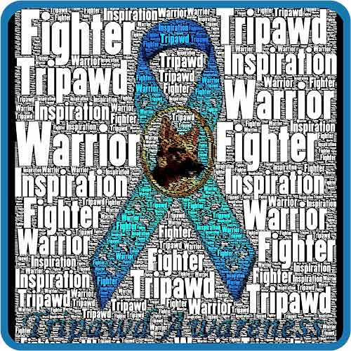 Tripawd Awareness Ribbon