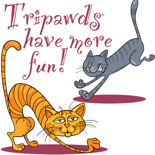 Tripawds three Legged Cats Have Fun T-shirts Gifts