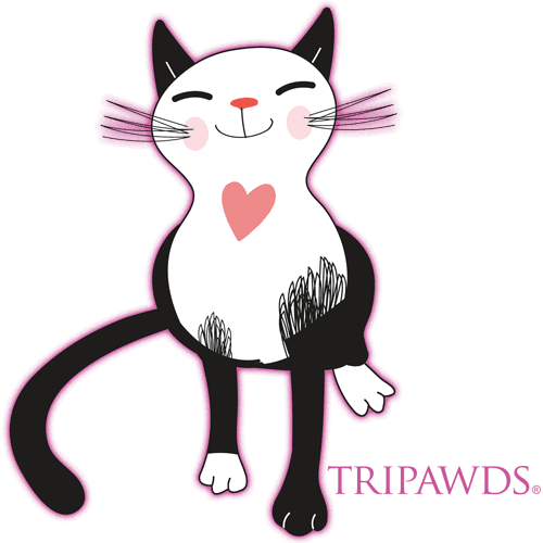 Tripawds Three Legged Cat Love T-shirst and Gifts