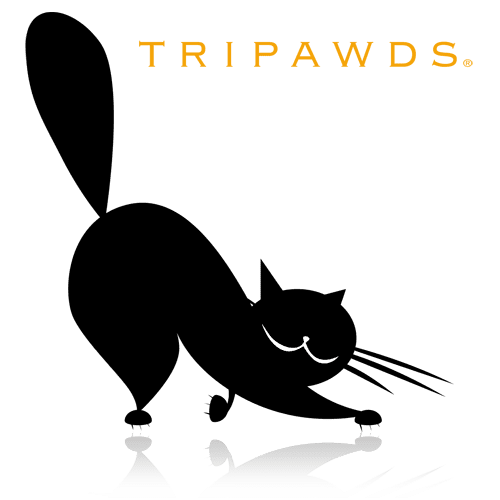 Tripawds Three Legged Cat Style Apparel Gifts