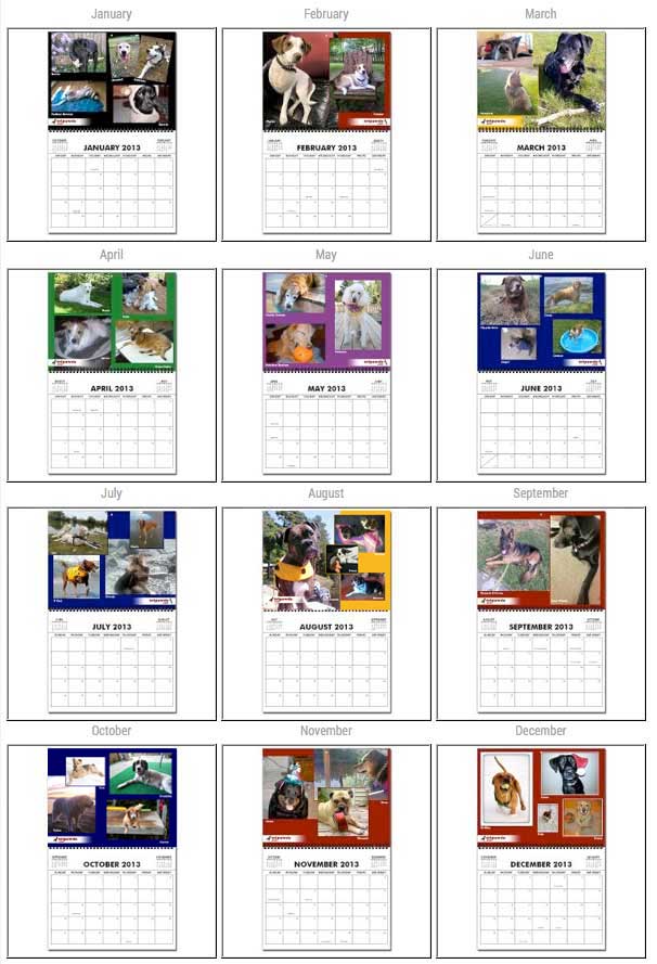 2014 Tripawds Calendars