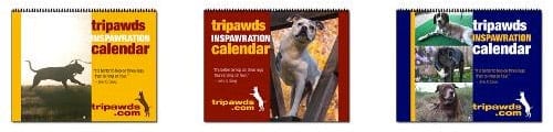 2014 Tripawds Calendars