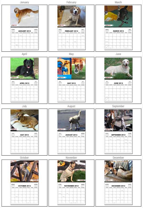 2014 Tripawds Calendars