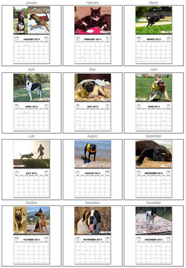 2014 Tripawds Calendars