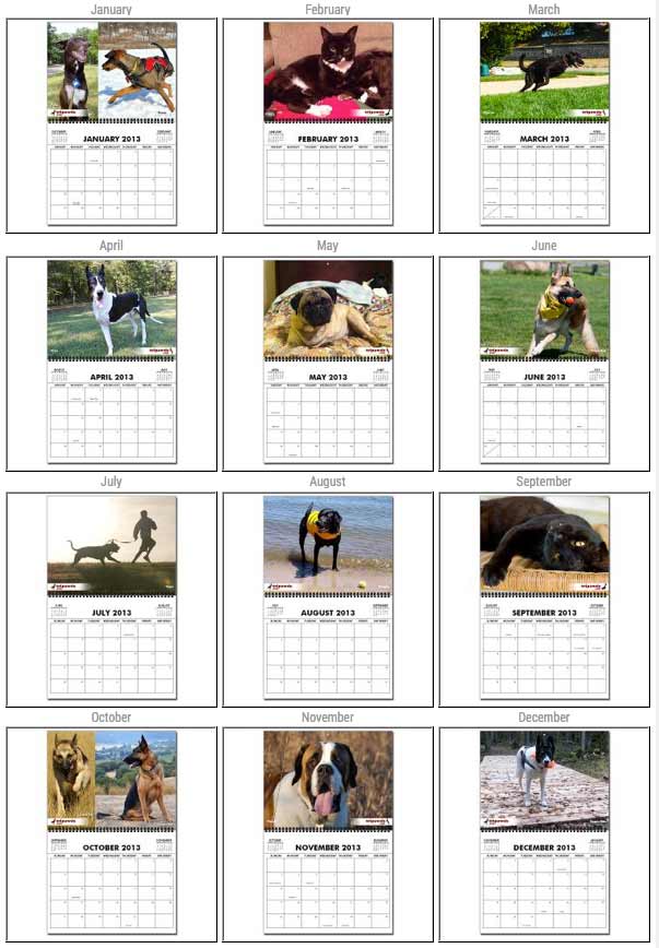 Tripawds 2014 Three Legged Dog and Cat Calendars