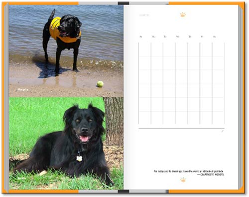 Tripawds Now Weekly Planner Book