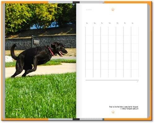 Tripawds Now Weekly Planner Book