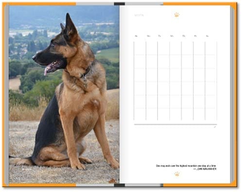 Tripawds Now Weekly Planner Book