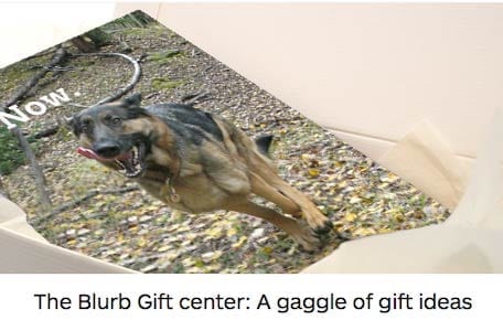 blurb gift guide box