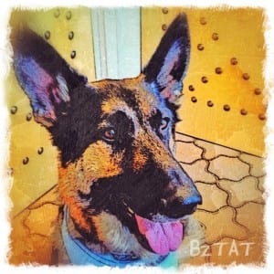 BZTATPortrait