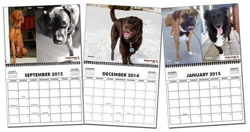Tripawds 2015 Calendars