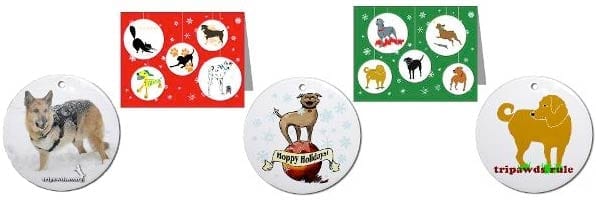 holidays, gifts, Tripawd, dog, cat