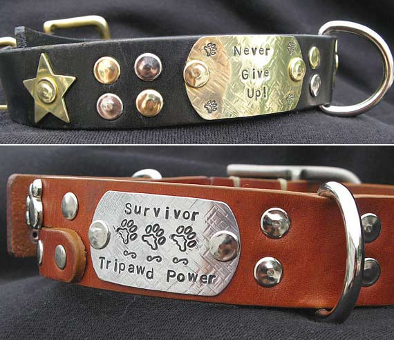 Recycled Belt Dog Collars from Tripawds Etsy Store