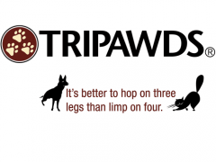 New Tripawds Apparel with Tagline! tripawds tagline t-shirt