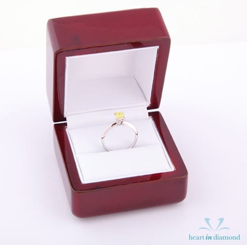 Heart in Diamond Pet Memorial Fine Jewelry