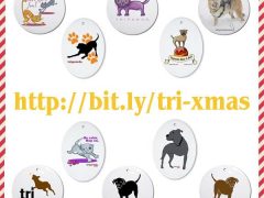All New Tripawds Holiday Cards Ready for the Season tripawds christmas cards & gifts
