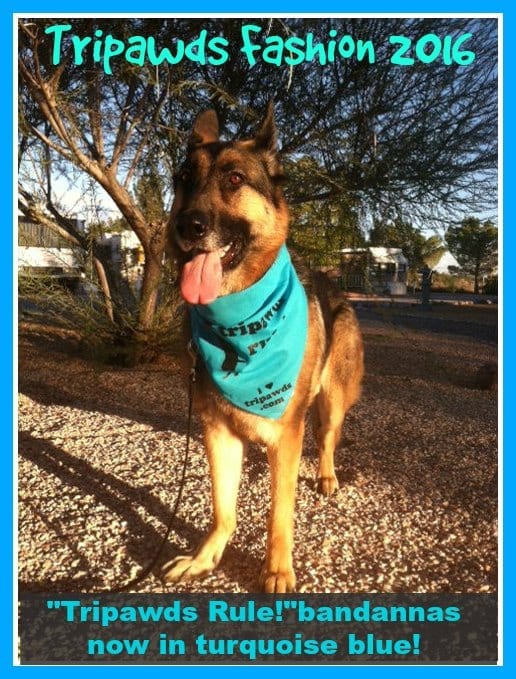 Tripawds Rule Bandanna