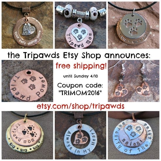 Tripawd Mom jewelry