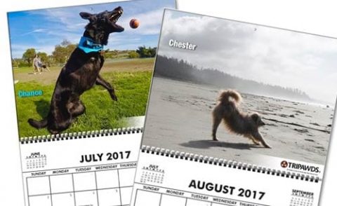 2017 Tripawds Calendars